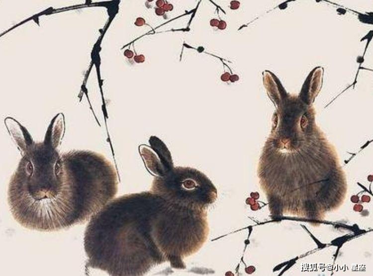 开卷有益遇良师,过目不忘有胆识打一生肖精选解析、解释与落实、统计解答解释落实