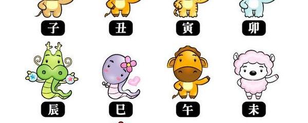 欲钱买娇小玲珑的动物是什么生肖请全面2释义、解释与落实、统计解答解释落实